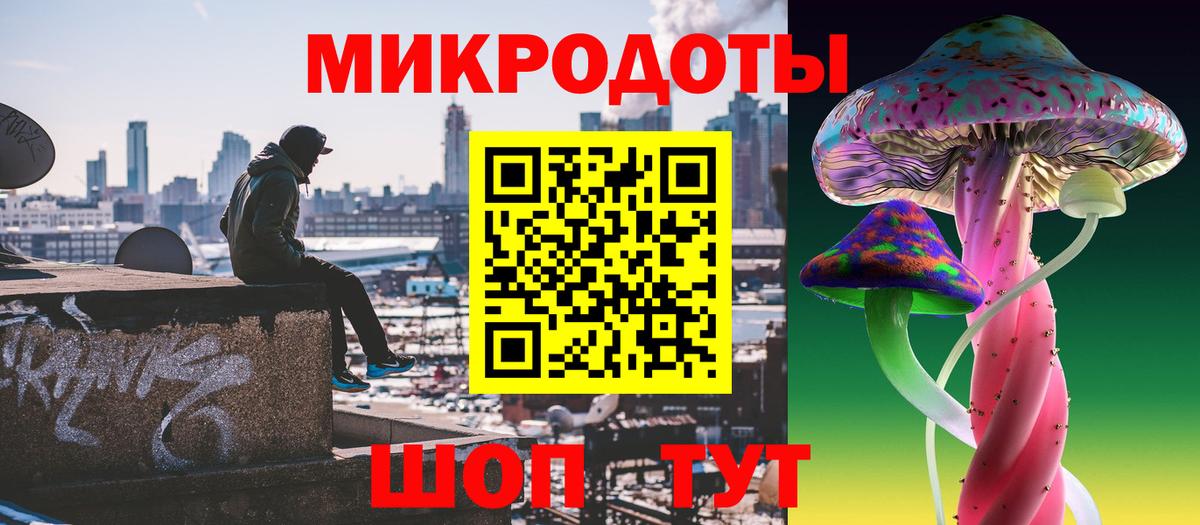 Псилоцибиновые грибы Psilocybine cubensis  Вход с VPN  Дербент 