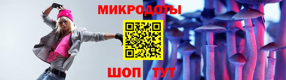 Псилоцибиновые грибы мухоморы Дербент